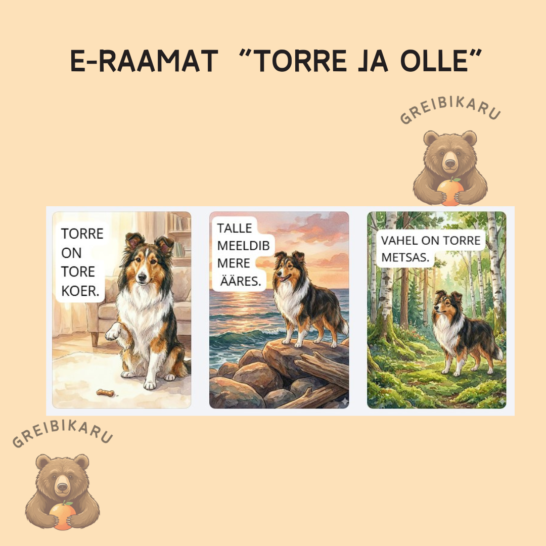 E-raamat vähese lugemisoskusega lastele "Torre ja Olle"