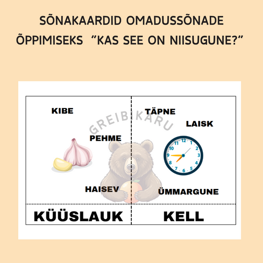 Sõnakaardid omadussõnade õppimiseks “Kas see on niisugune?”