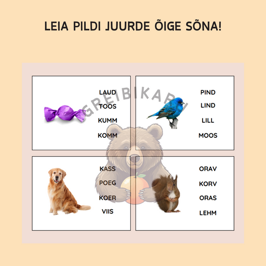 Leia pildi juurde õige sõna!