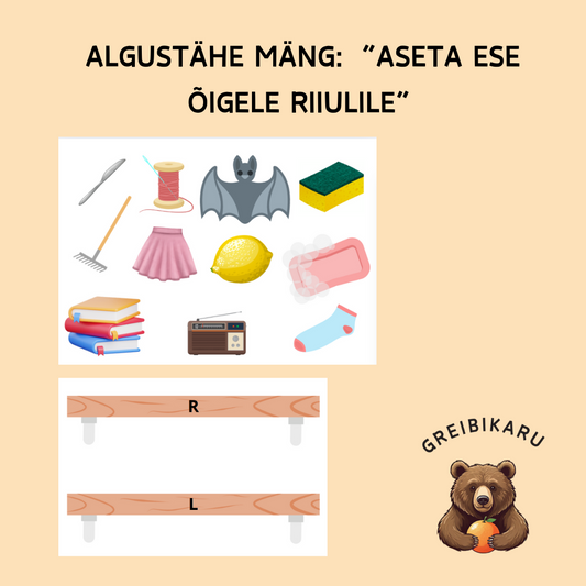 Algustähe mäng “Aseta asi õigele riiulile!”