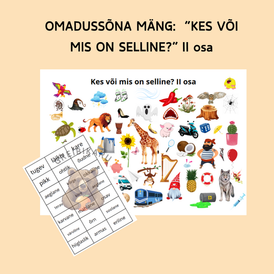 Omadussõna mäng "Kes või mis on selline?" II osa