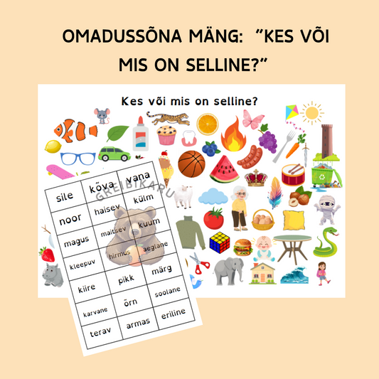 Omadussõna mäng “Kes või mis on selline?”